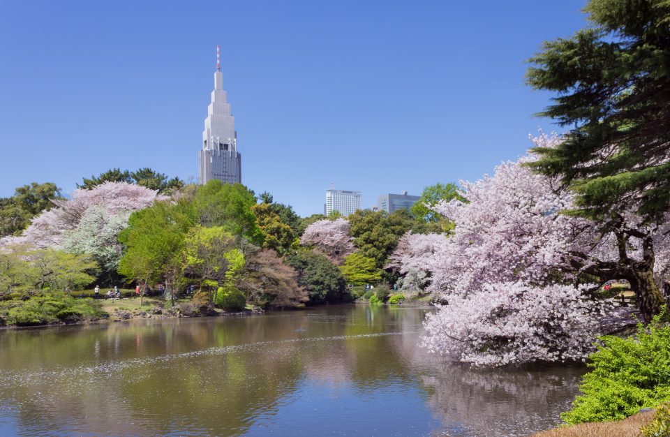 travel japan on APR May 2023